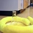Hazmat Standard Vehicle Spill Kit - 3