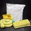 Hazmat Standard Vehicle Spill Kit - 1