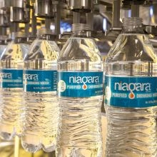 Purified 16.9oz Bottle Water - 1