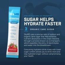 SkyMD Daily Hydration Electrolyte - 3