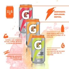 Gatorade Thirst Quencher Sports Drink Cans - 4