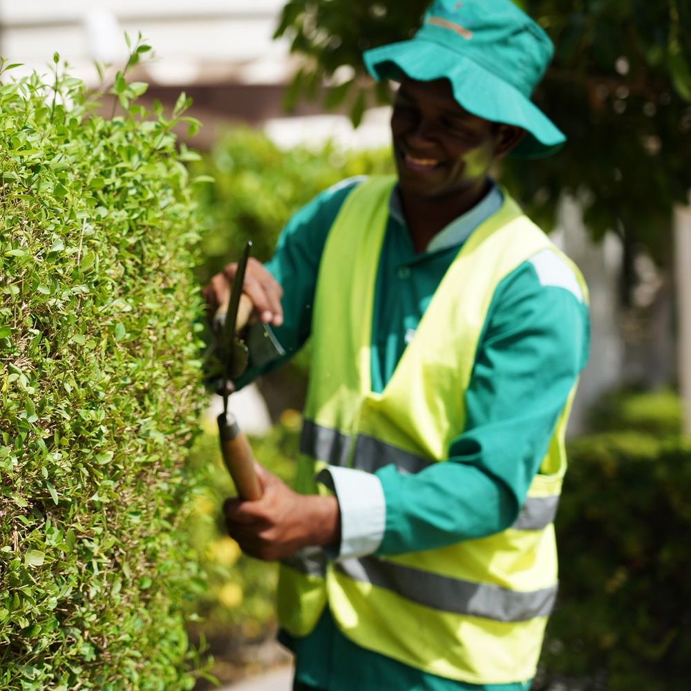 Safety Vest For Landscaping